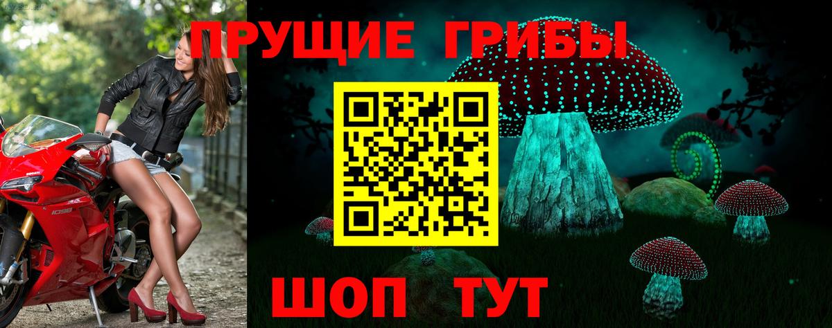 Галлюциногенные грибы Psilocybe  Вход с VPN  Ростов Великий 
